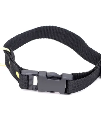 Sort Halsbånd Halsrem   Webbing  25 Mm   40 Cm