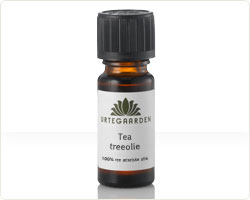 Tea Treeolie 10ml