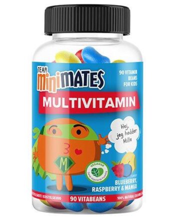 Team Minimates Multivitamin  Vegan 90 Gum