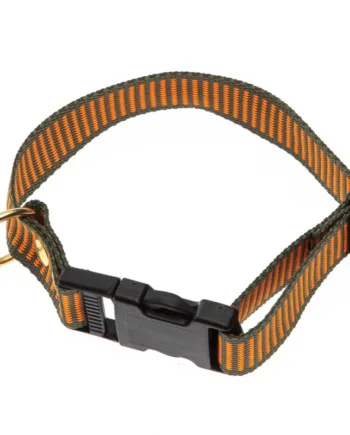 -farvet Halsbånd Orange   Grøn Halsrem 25 Mm   60 Cm