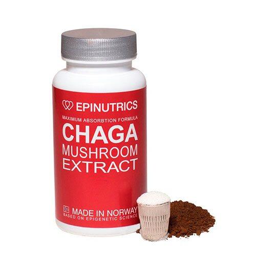 Epinutrics Epi-chaga  60kap