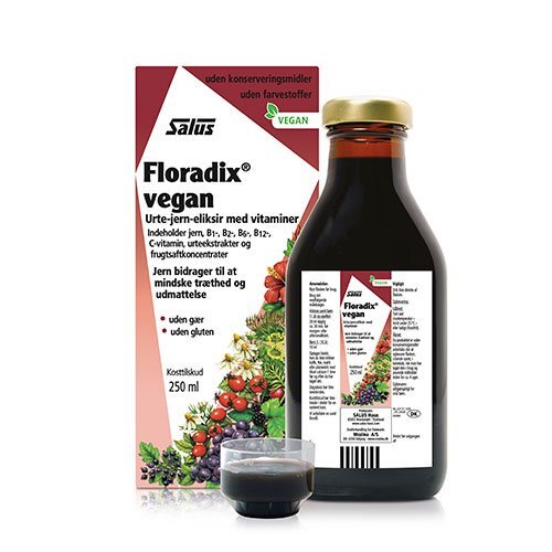 Floradix Vegan 250 Ml