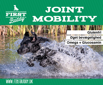 500 Gram Joint Mobility Til Hunde Naturligt Glucosamin