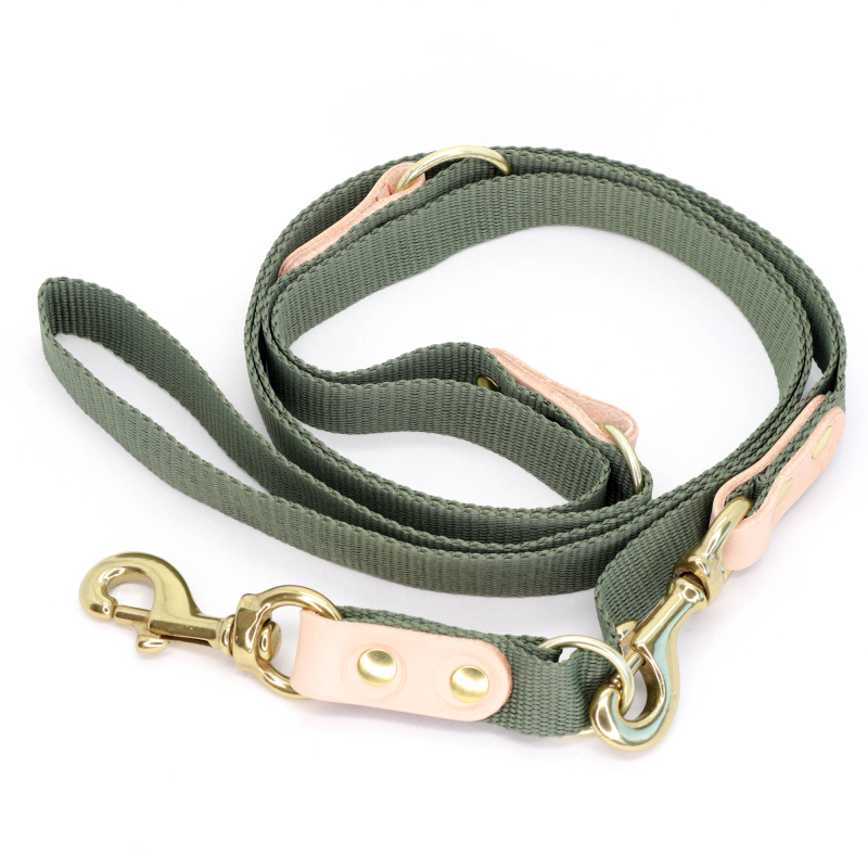 Grøn Hundesnor Med Karabinhage Dressurline 25 Mm   250 Cm   Webbing