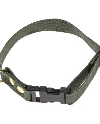 Grønt Halsbånd Halsrem 20 Mm   40 Cm   Webbing