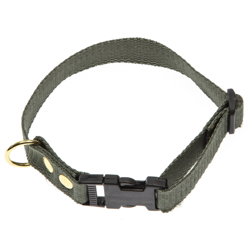 Grønt Halsbånd Halsrem 20 Mm   40 Cm   Webbing
