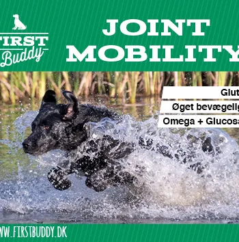 Kg Joint Mobility Til Hunde Naturligt Glucosamin