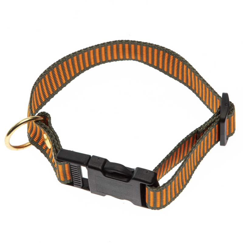 -farvet Halsbånd Orange   Grøn Halsrem 25 Mm   60 Cm