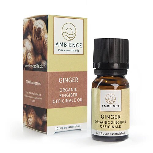 Ambience Ingefær Olie  øko 10 Ml