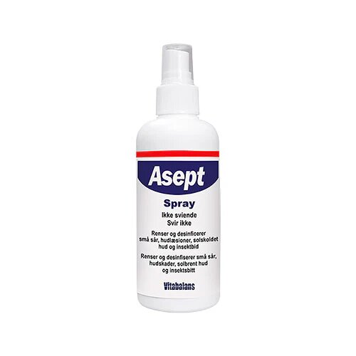 Asept Spray 100 Ml