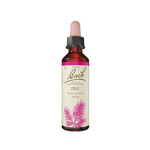 Bach Skovfyr  10ml