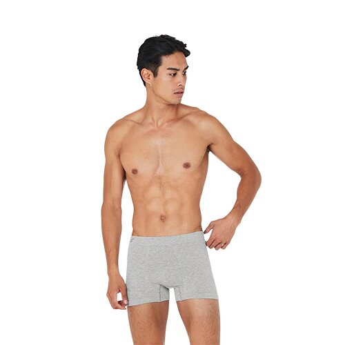 Boxer Shorts Lysegrå Str